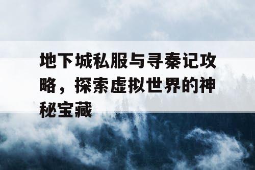 地下城私服与寻秦记攻略，探索虚拟世界的神秘宝藏