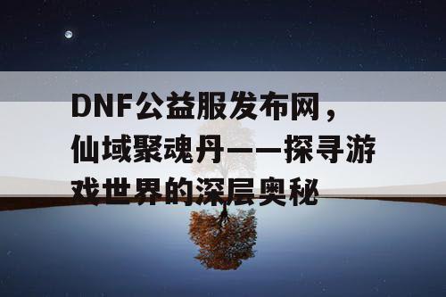 DNF公益服发布网，仙域聚魂丹——探寻游戏世界的深层奥秘