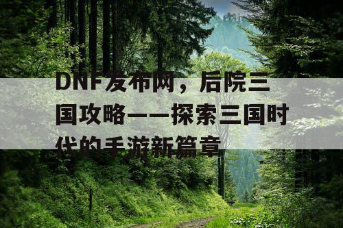 DNF发布网，后院三国攻略——探索三国时代的手游新篇章