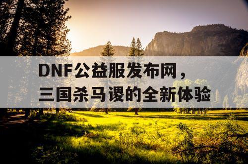 DNF公益服发布网，三国杀马谡的全新体验