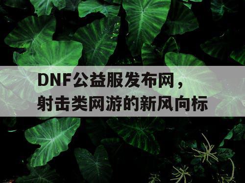 DNF公益服发布网，射击类网游的新风向标