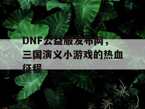 DNF公益服发布网，三国演义小游戏的热血征程