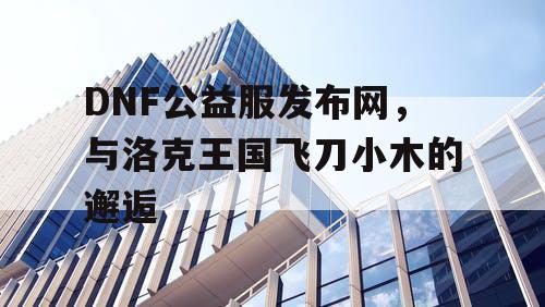 DNF公益服发布网，与洛克王国飞刀小木的邂逅