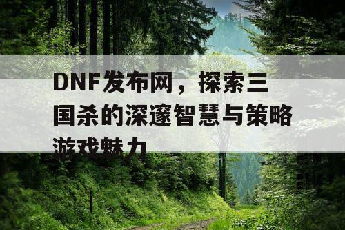 DNF发布网，探索三国杀的深邃智慧与策略游戏魅力