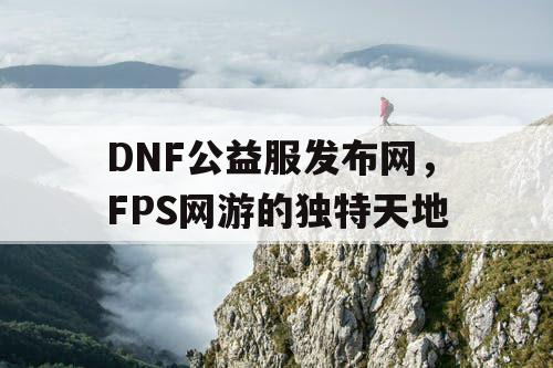 DNF公益服发布网，FPS网游的独特天地