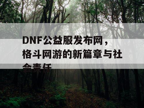 DNF公益服发布网，格斗网游的新篇章与社会责任