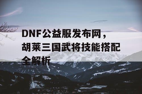 DNF公益服发布网，胡莱三国武将技能搭配全解析